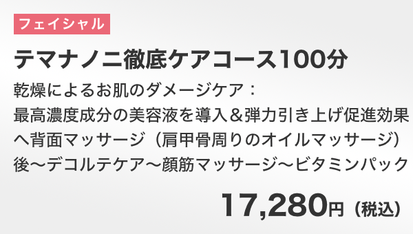 テマナノニ徹底ケアコース100分